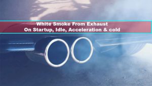 white smoke exhaust in bioost evom