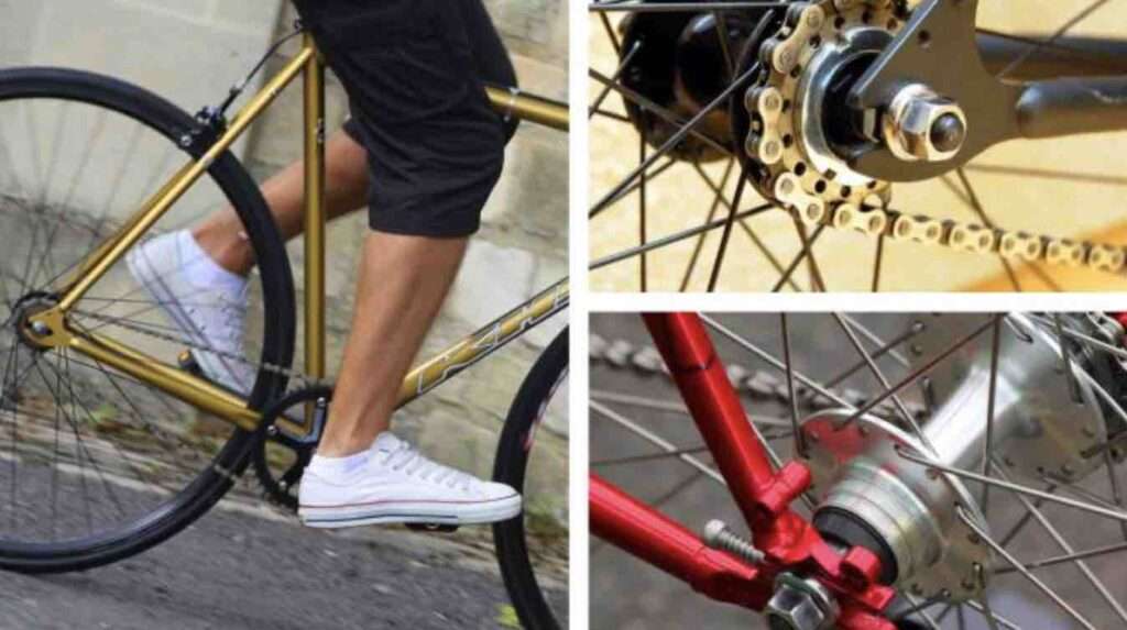 Single Speed vs Fixed Gear: What are the Differences Between Single Speed and Fixed Gear?